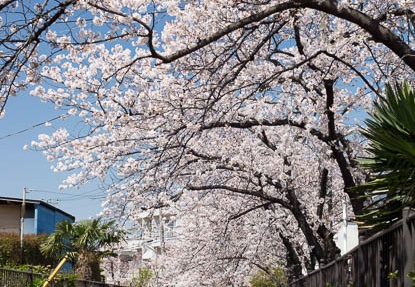 201204081240-DSC00570.jpg