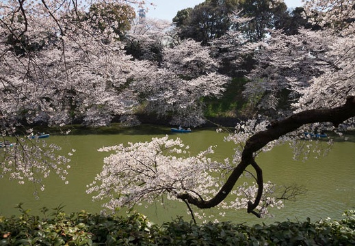 201204091014-DSC00626.jpg