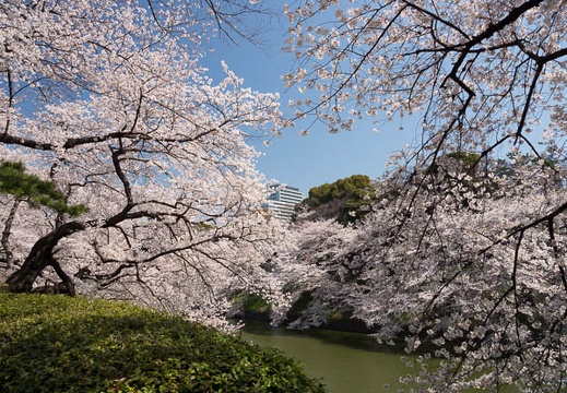 201204091019-DSC00637.jpg