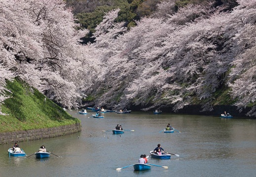 201204091048-DSC00727.jpg