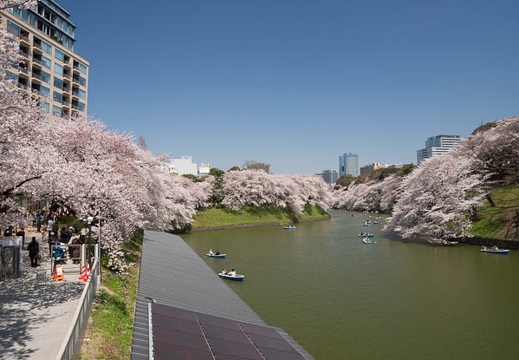 201204091056-DSC00755.jpg