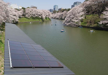 201204091058-DSC06251N.jpg