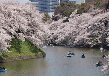 201204091104-DSC00784.jpg