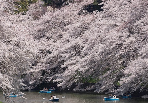 04.09 千鳥ヶ淵