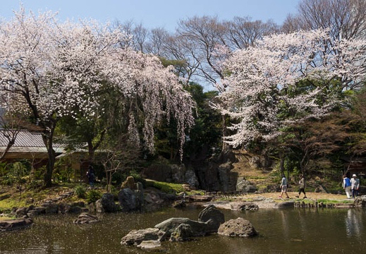 201204091159-DSC00836.jpg