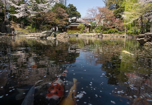 201204091200-DSC00841.jpg