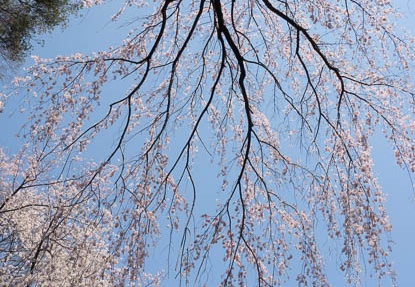 201204091207-DSC00859.jpg