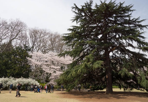 201204101010-DSC01222.jpg