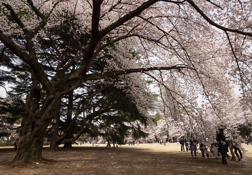 201204101039-DSC01278.jpg