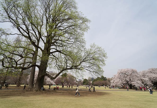 201204101059-DSC06442N.jpg