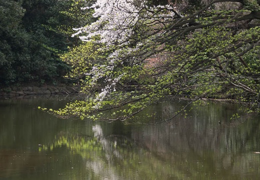 201204101136-DSC01339.jpg