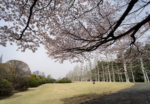 201204101148-DSC06459N.jpg
