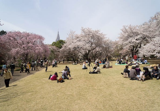 201204101203-DSC06473N.jpg