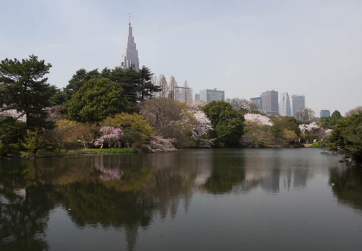201204101214-DSC01384.jpg