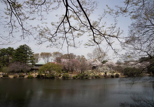 201204101225-DSC01403.jpg