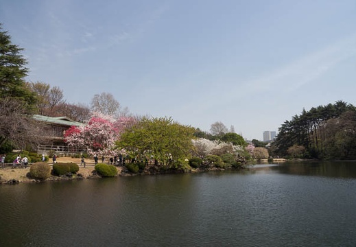 201204101256-DSC01448.jpg