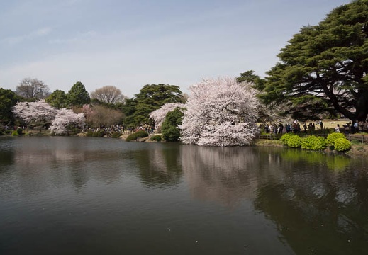 201204101258-DSC01452.jpg