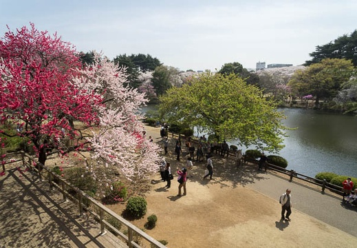 201204101328-DSC06548N.jpg