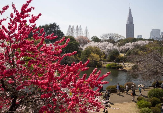 201204101330-DSC01502.jpg