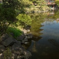 201204121407-DSC02012.jpg