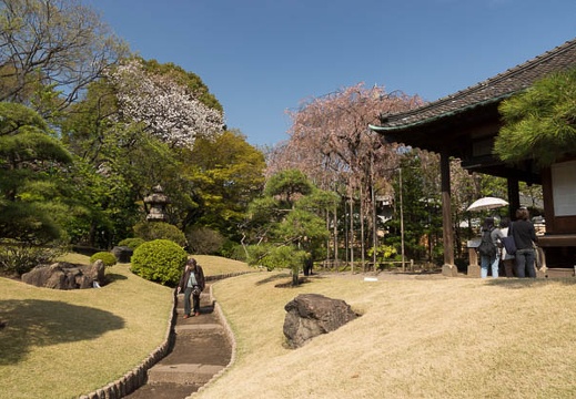 201204121413-DSC02026.jpg