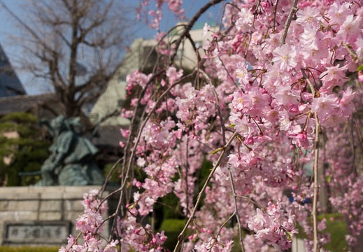 201204121439-DSC02070.jpg