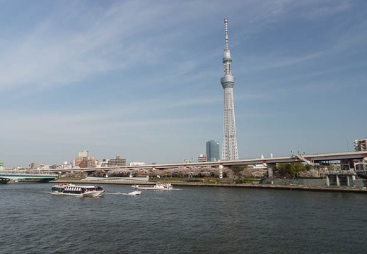 201204121523-DSC02132.jpg