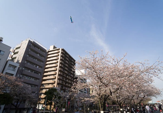 201204121532-DSC06661N.jpg