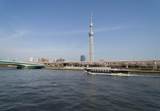 201204121540-DSC06668N.jpg