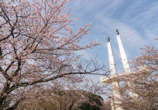 201204130730-DSC02234.jpg