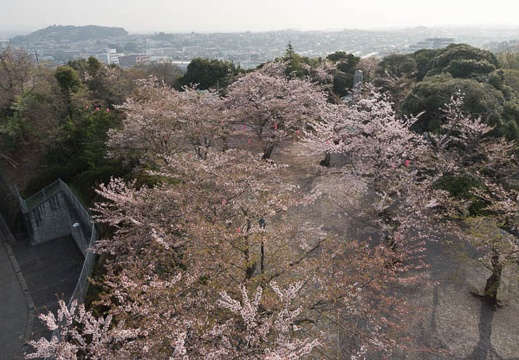 201204130735-DSC02243.jpg