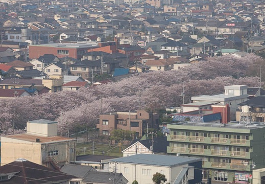 201204130737-DSC02250.jpg