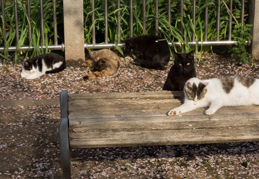 201204130750-DSC02280.jpg