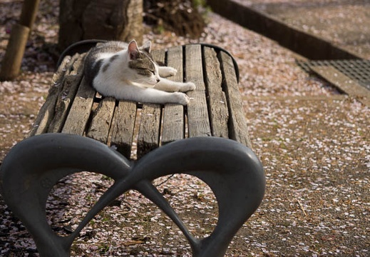 201204130751-DSC02283.jpg