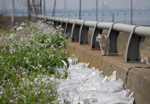 201204131002-DSC02495.jpg