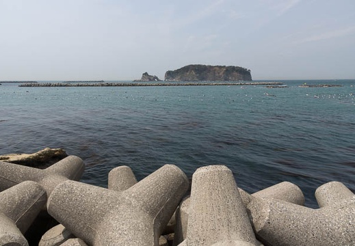 201204131139-DSC02528.jpg