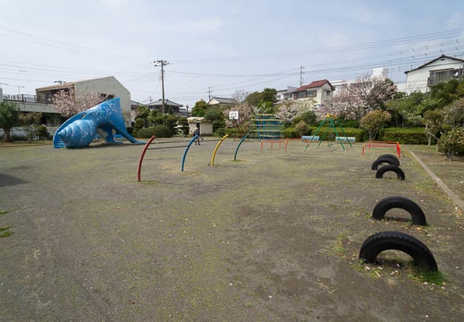 201204131247-DSC06787N.jpg