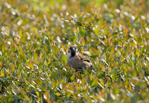 201204171446-DSC02838.jpg