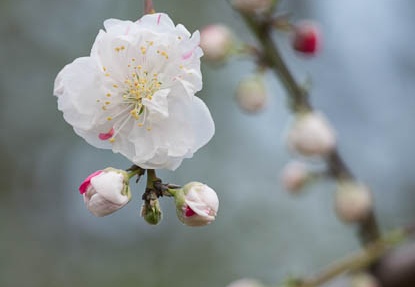 201204171502-DSC02867.jpg