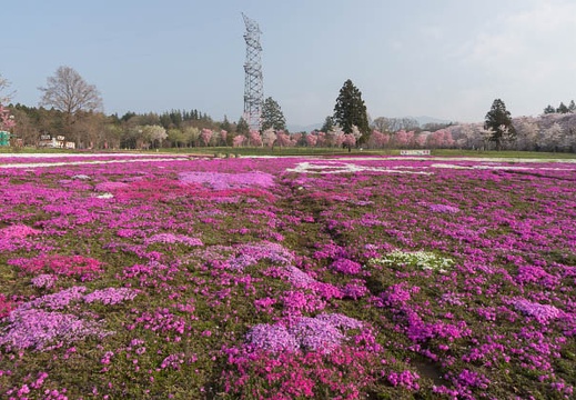 201204250644-DSC02904.jpg