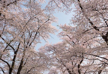 201204250701-DSC02926.jpg