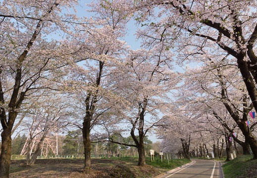 201204250704-DSC02929.jpg
