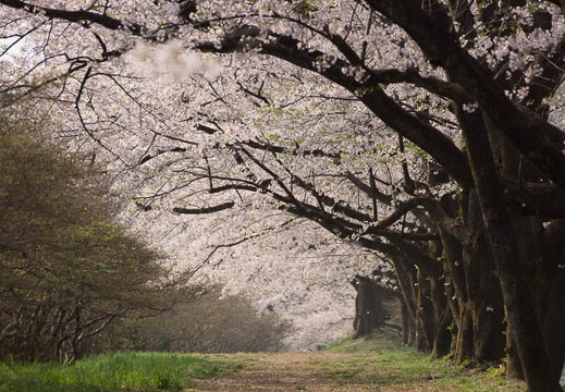 201204250753-DSC03001.jpg