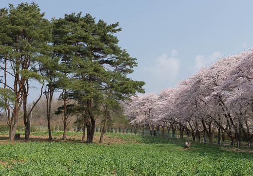 201204250832-DSC03052.jpg
