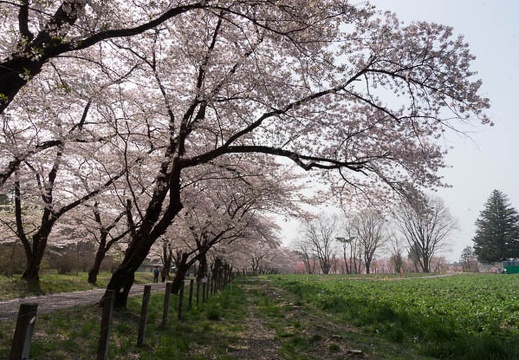 201204250853-DSC03074.jpg