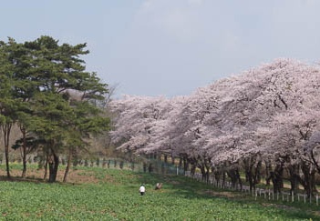 201204250904-DSC03088.jpg