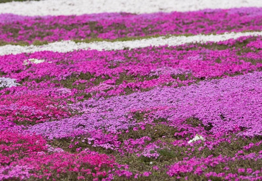 201204250940-DSC03136.jpg