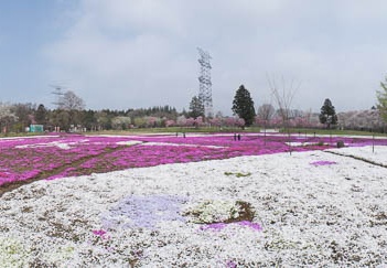 201204250950-DSC06887N.jpg