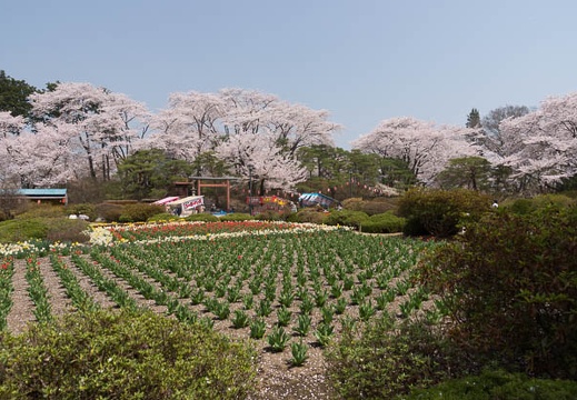 201204251116-DSC03166.jpg