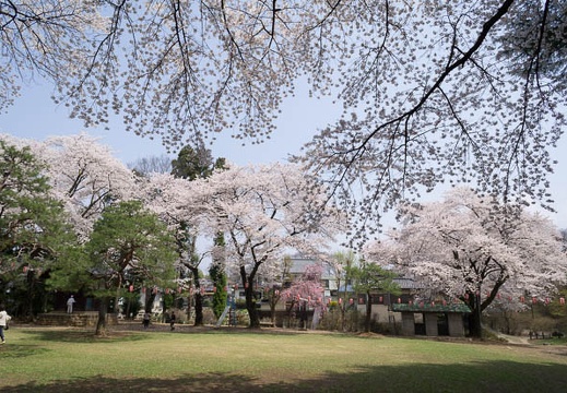 201204251131-DSC06901N.jpg